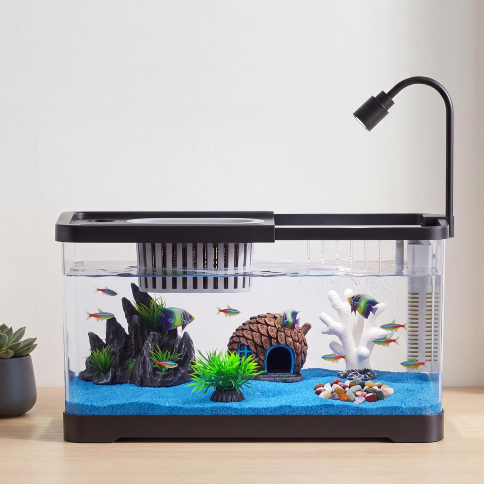 Aquarium Goldfish - Fish Tank Starter Kit With Filter