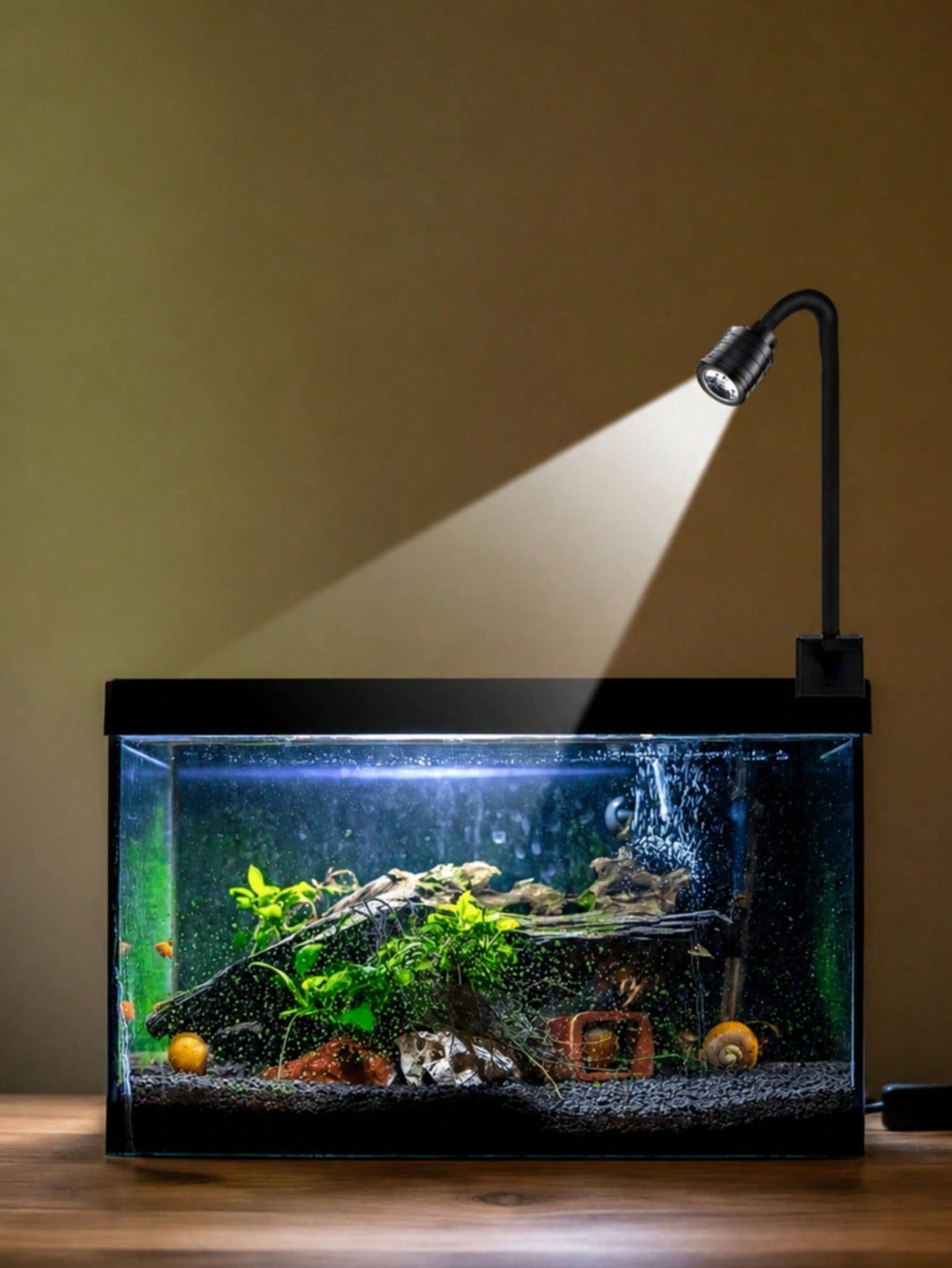 Aquarium Goldfish - USB aquarium lights, Zoom South American