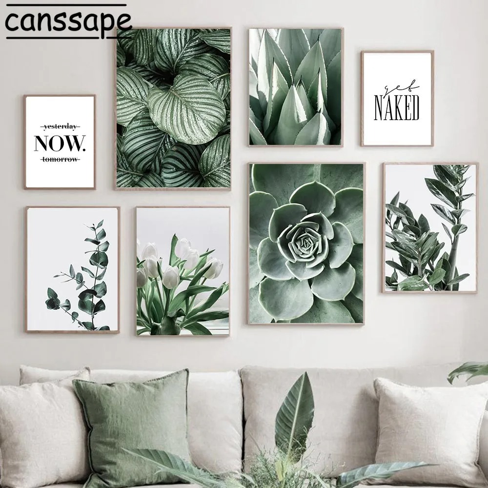 Live Plant Fertilizer - Nature Wall Art Print Succulent Plants