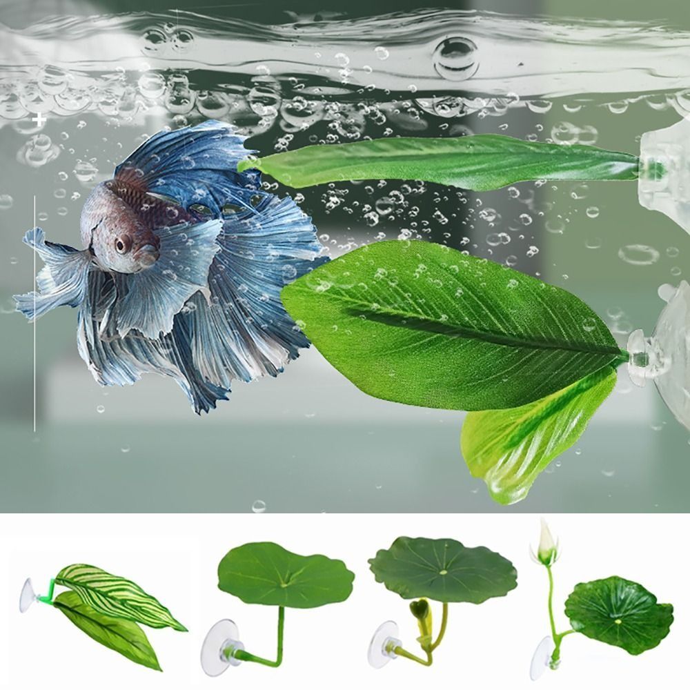 Plastic Betta Fish Rest Leaf S - Aquarium Fish Hideout 评论和价格