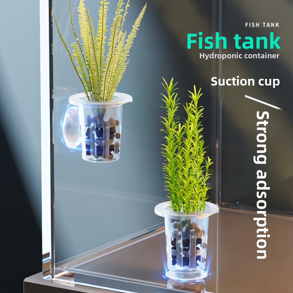 10Pcs Transparent Plant Hydrop - Aquarium Fish Hideout 评论和价格