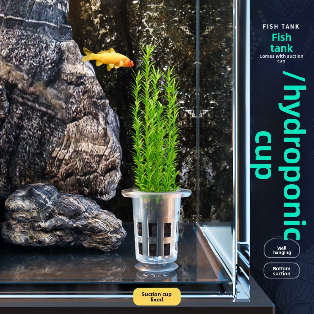 10Pcs Transparent Plant Hydrop - Aquarium Fish Hideout 评论和价格