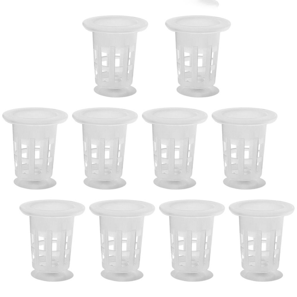 10Pcs Transparent Plant Hydrop - Aquarium Fish Hideout 评论和价格