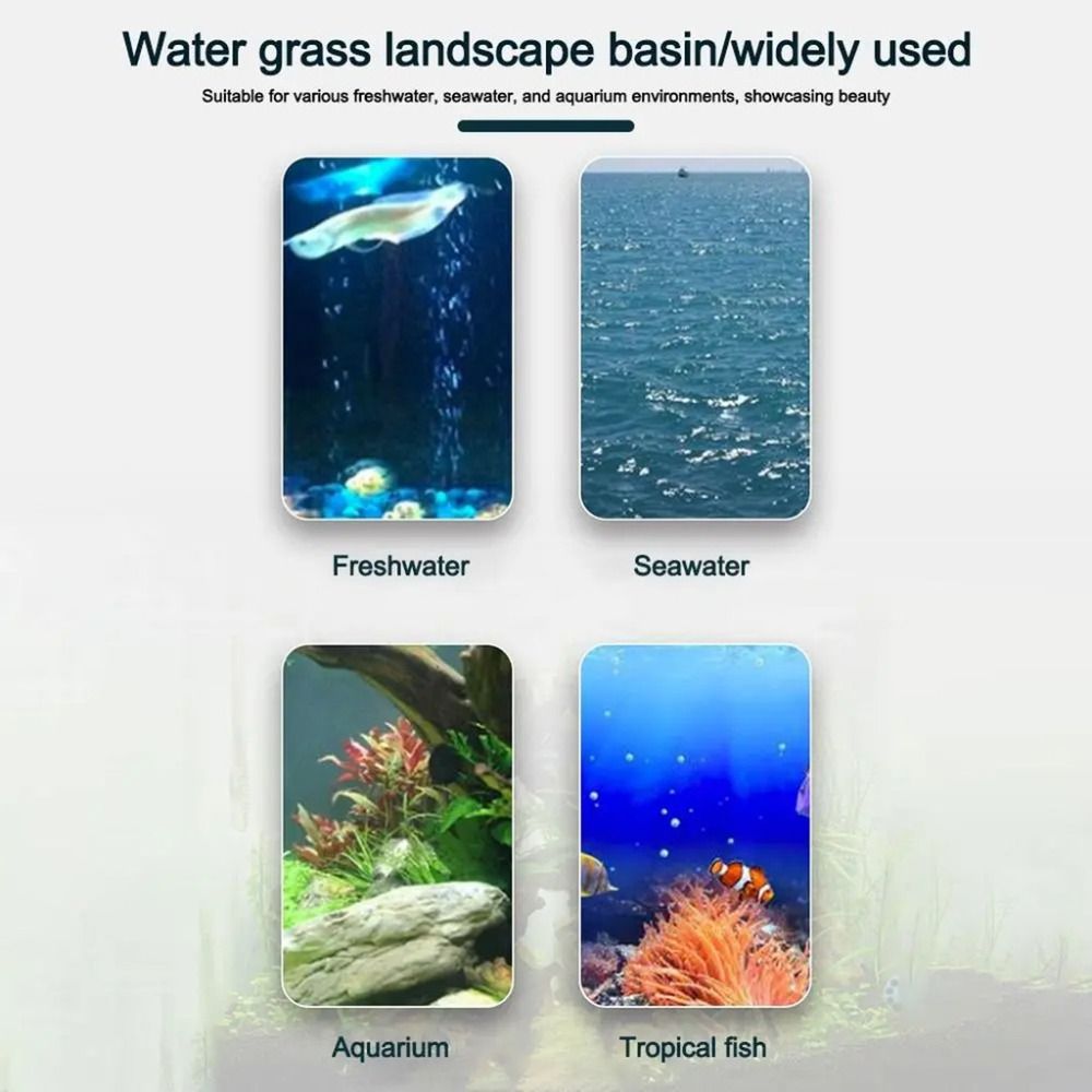 10Pcs Transparent Plant Hydrop - Aquarium Fish Hideout 评论和价格