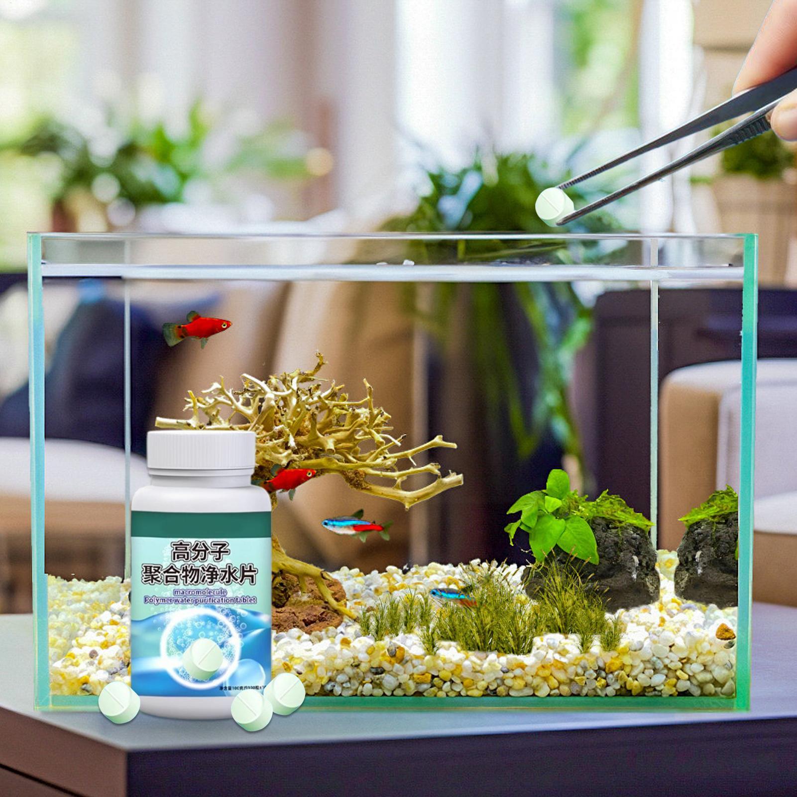 Fish Can Algae Remover Aquariu - Aquarium Fish Betta 评论和价格