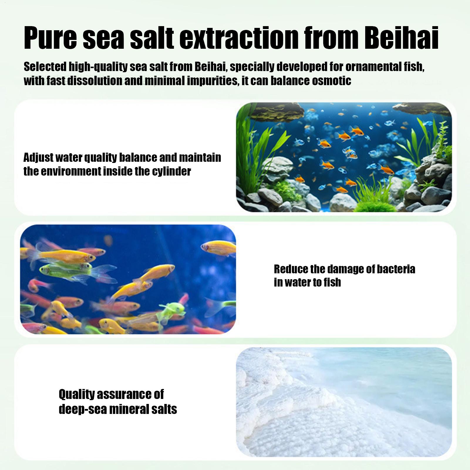 Fish Can Algae Remover Aquariu - Aquarium Fish Betta 评论和价格