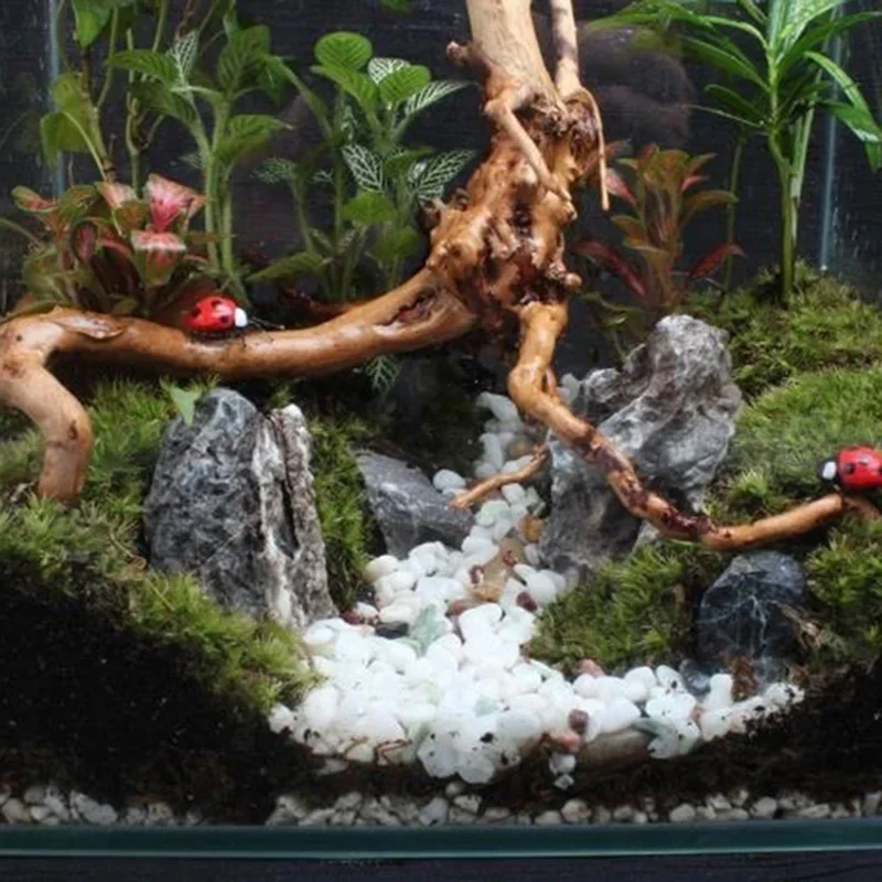 Natural Tree Trunk Driftwood A - Aquarium Fish Hideout 评论和价格