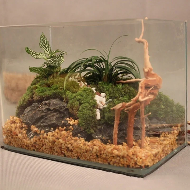 Natural Tree Trunk Driftwood A - Aquarium Fish Hideout 评论和价格