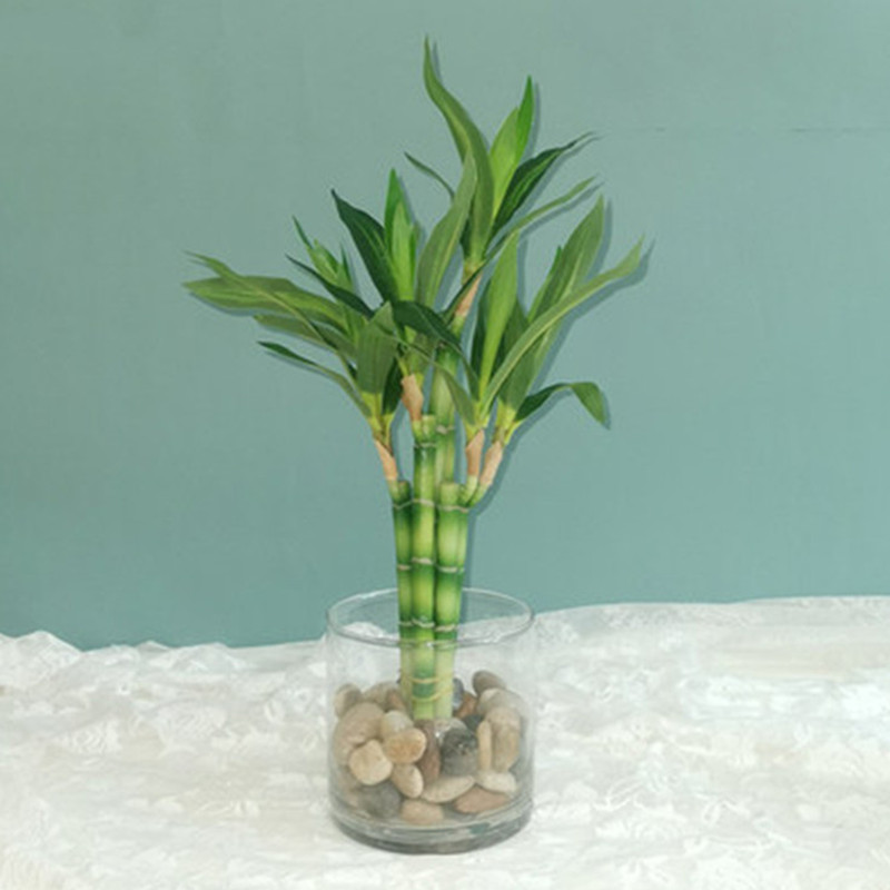 New 40cm Artificial Lucky Bamb - Aquarium Fish Farm 评论和价格
