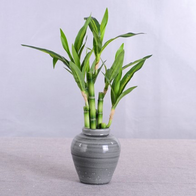 New 40cm Artificial Lucky Bamb - Aquarium Fish Farm 评论和价格