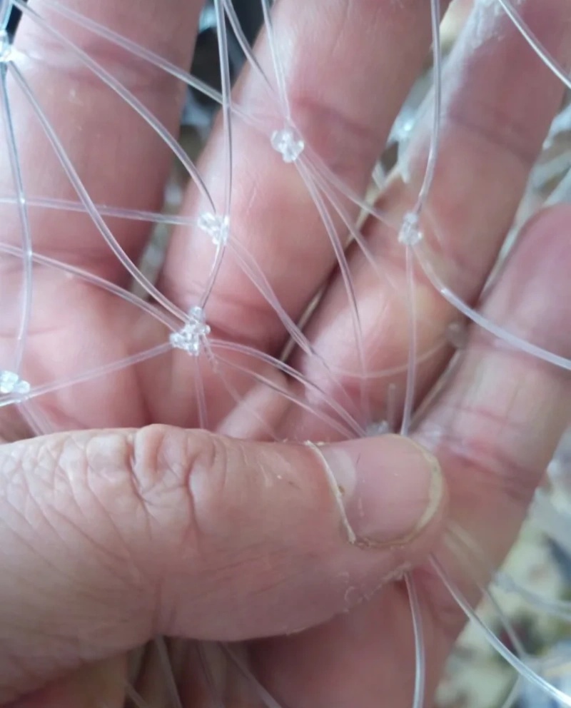 53/60/85cm Double Line Fishing - Fish Net Handle 评论和价格