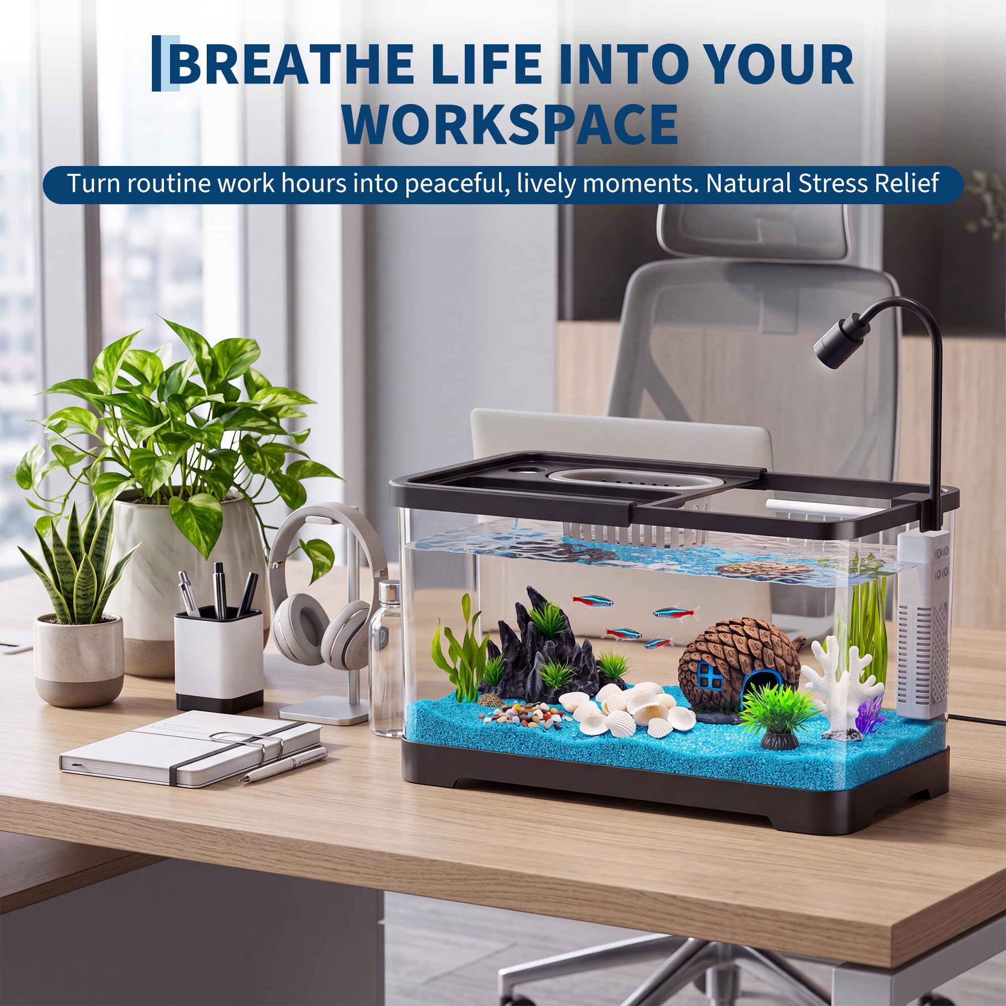 Fish Tank Starter Kit With Fil - Aquarium Goldfish 评论和价格