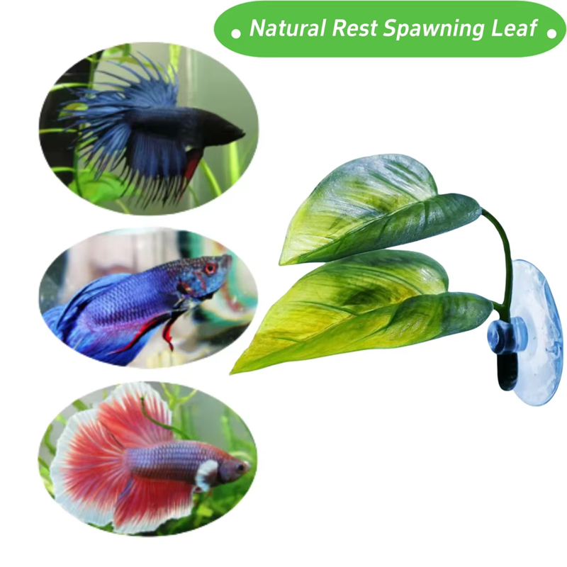 Aquarium Pet Supplies Decorati - Aquarium Fish Betta 评论和价格