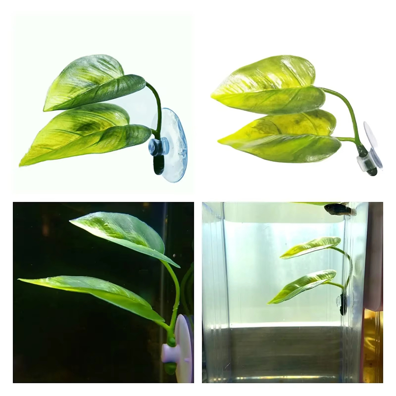 Aquarium Pet Supplies Decorati - Aquarium Fish Betta 评论和价格