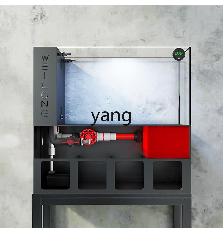 Lhh living room small fish tan - Aquarium Goldfish 评论和价格
