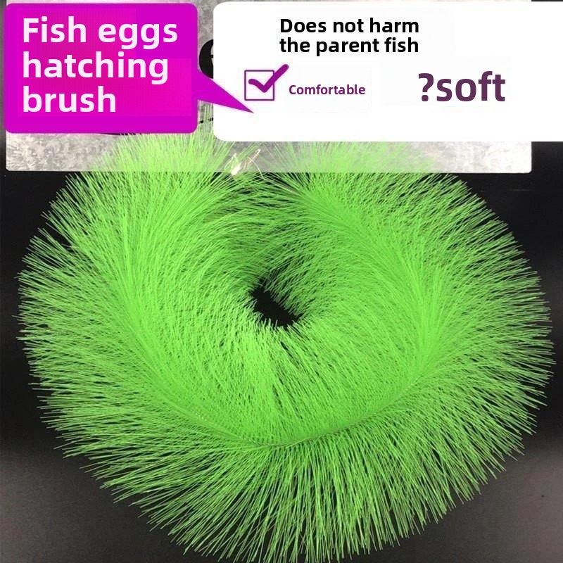 Breeding Grass for Koi Fish Eg - Aquarium Goldfish 评论和价格