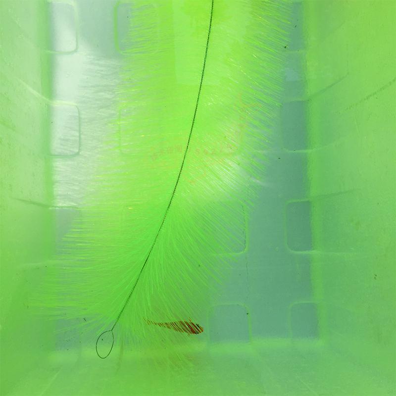 Breeding Grass for Koi Fish Eg - Aquarium Goldfish 评论和价格