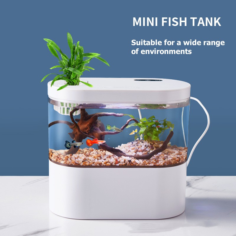 Mini Desktop Aquarium Fish Tan - Aquarium Goldfish 评论和价格
