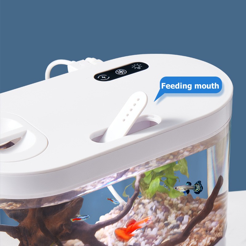 Mini Desktop Aquarium Fish Tan - Aquarium Goldfish 评论和价格