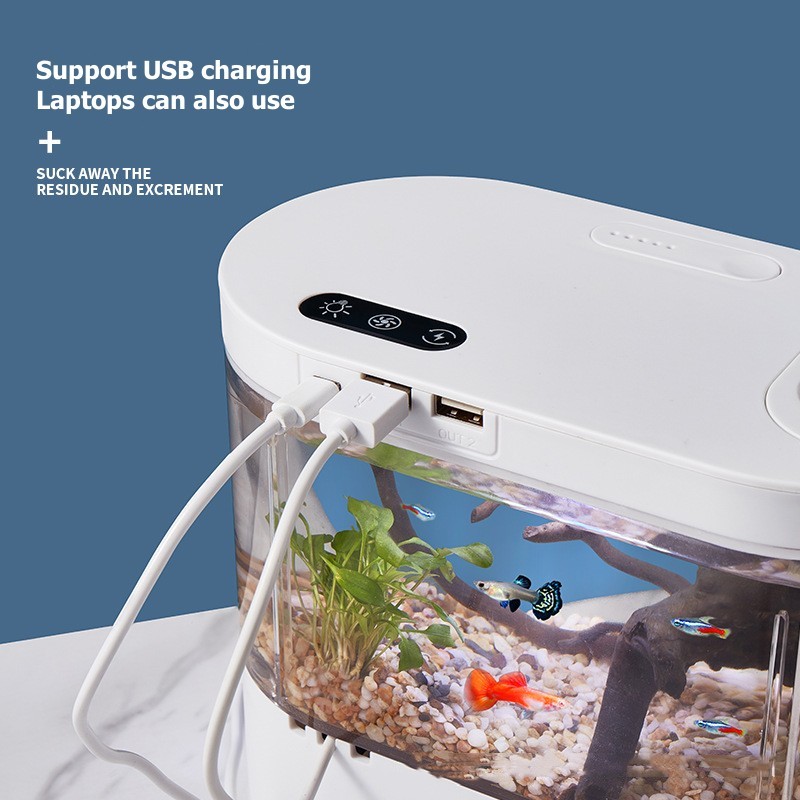 Mini Desktop Aquarium Fish Tan - Aquarium Goldfish 评论和价格