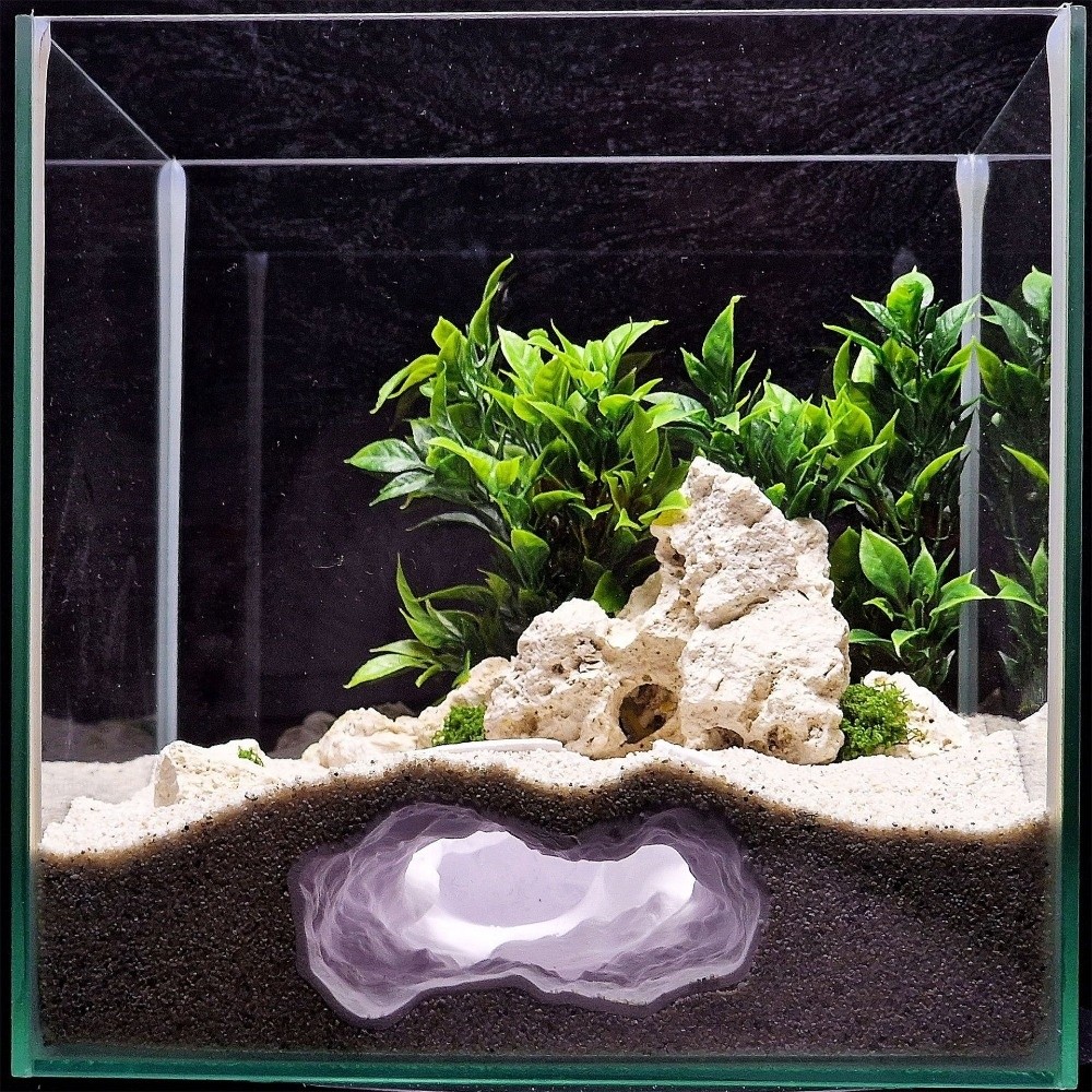 Highly Simulated Aquarium Fish - Aquarium Fish Hideout 评论和价格
