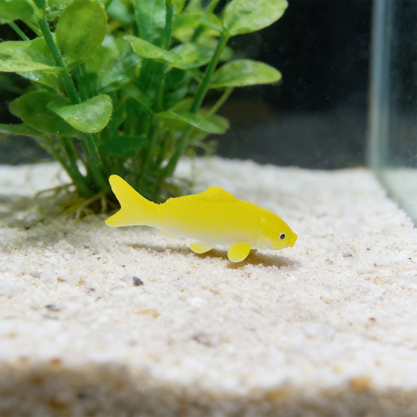 3pcs Fish Crafts Toys Realisti - Aquarium Goldfish 评论和价格