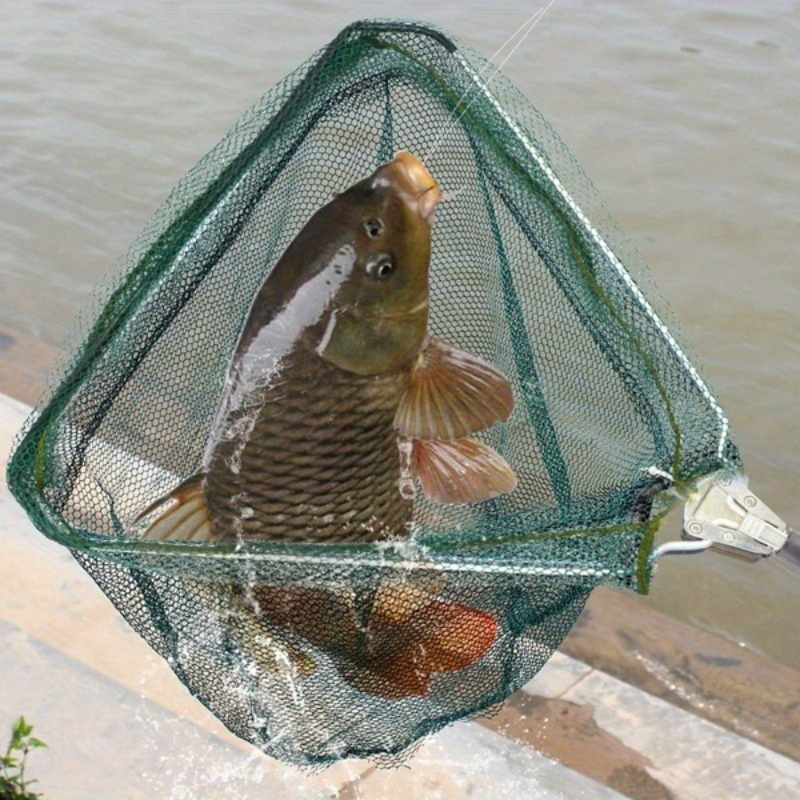 Foldable Triangle Fishing Land - Fish Net Handle 评论和价格