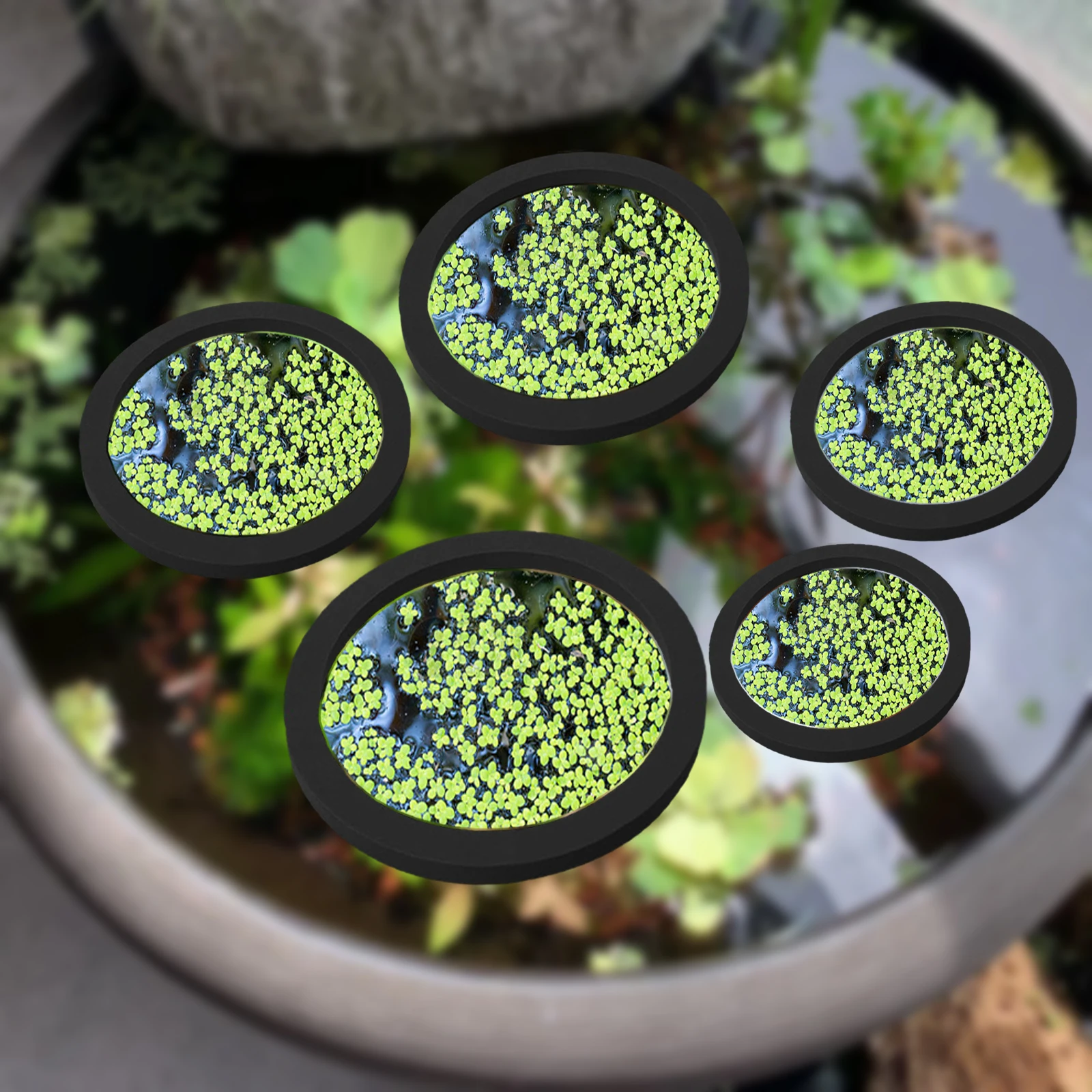 5Pcs EVA Fish Feeding Ring Aqu - Aquarium Fish Farm 评论和价格
