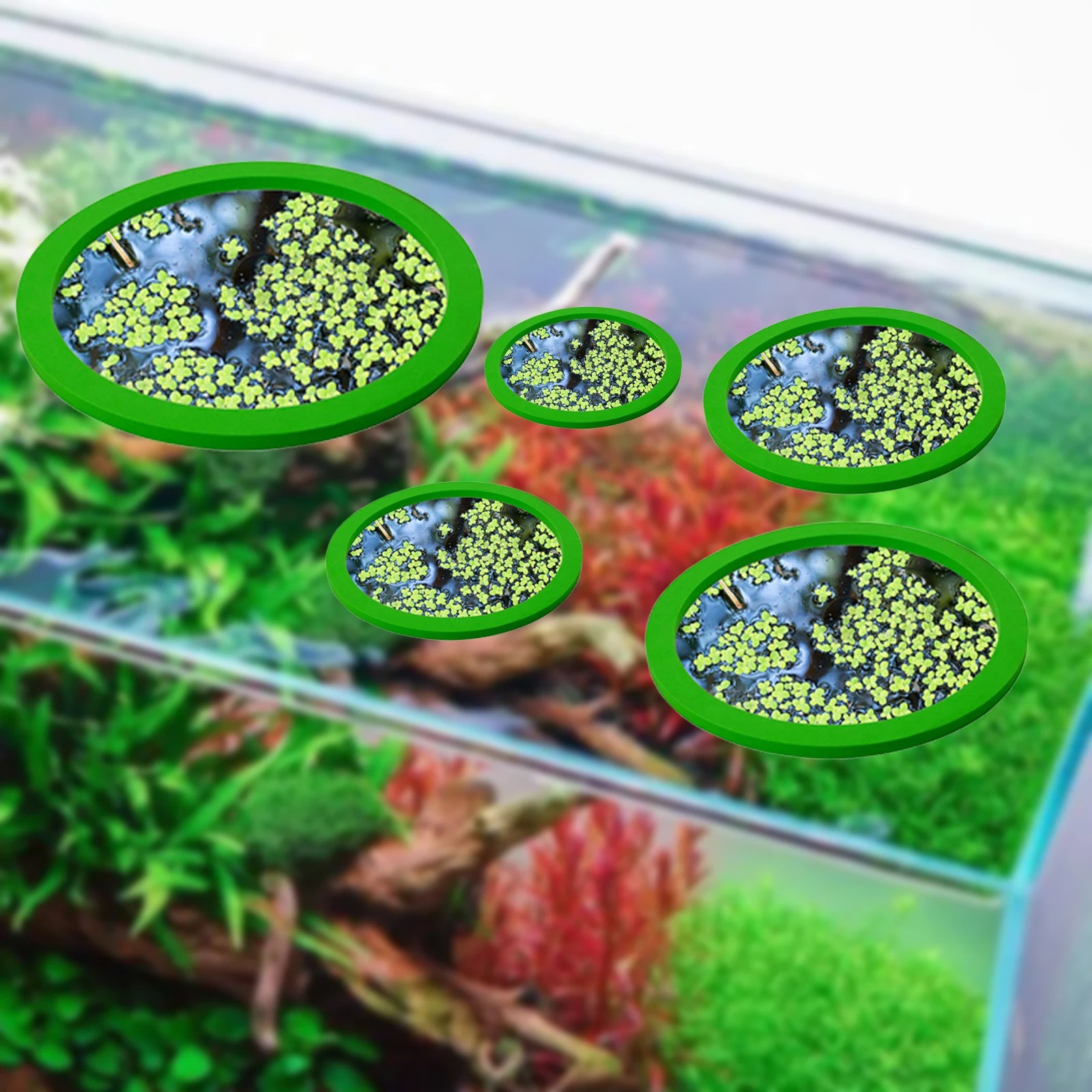 5Pcs EVA Fish Feeding Ring Aqu - Aquarium Fish Farm 评论和价格
