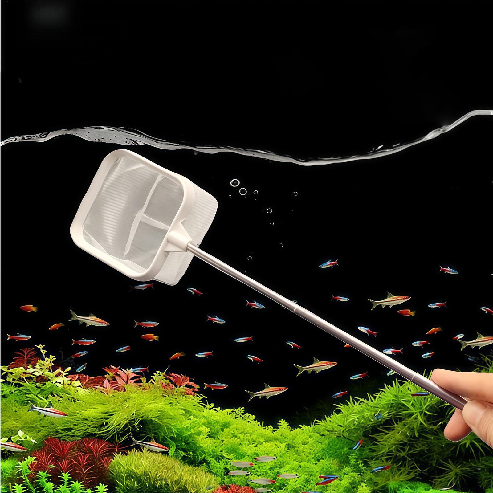 Extendable Long Handle Fine Me - Fish Net Handle 评论和价格