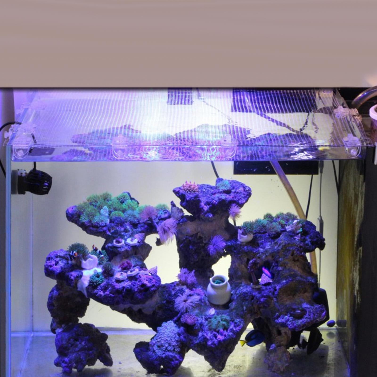 Transparent Mesh Fish Tank Scr - Tank Divider Mesh 评论和价格