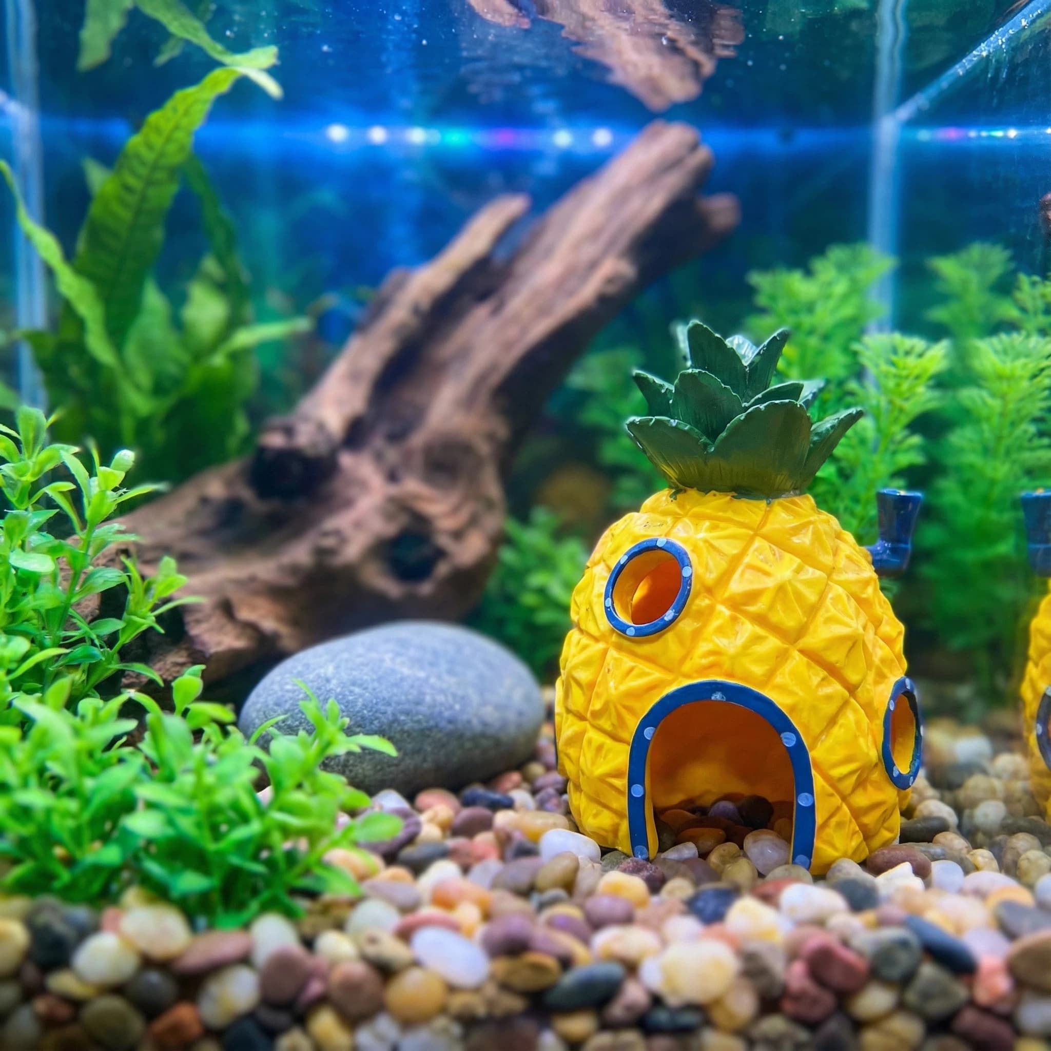 Pineapple House Aquarium Decor - Aquarium Fish Hideout 评论和价格