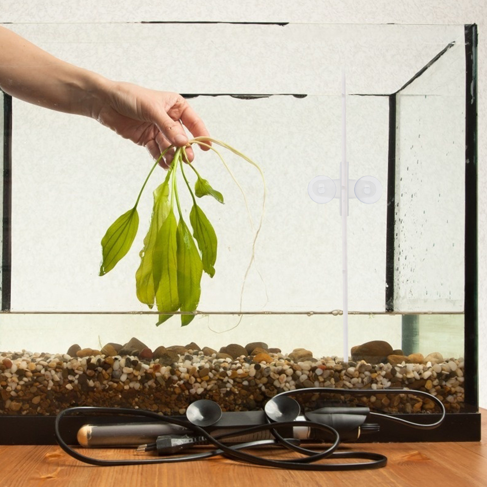 5Pcs Aquarium Glass Clip Isola - Tank Divider Mesh 评论和价格