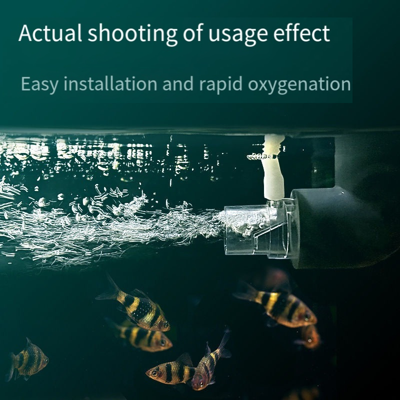 Oxygen Diffuser Pipe Filter At - Aquarium Fish Without Oxygen 评论和价格