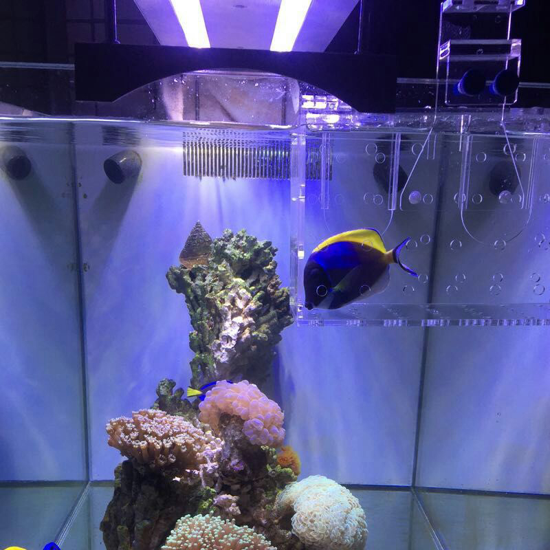 Marine Sources Magnetic Strong - Tank Divider Mesh 评论和价格