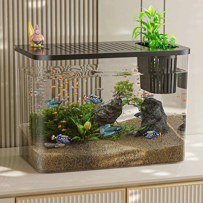 PET+ABS Fish Tank New Transpar - Aquarium Goldfish 评论和价格